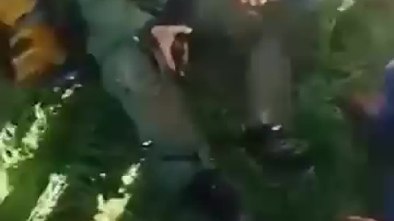 ভারতীয় বিমান বাহিনীর একজন সেনা কট!