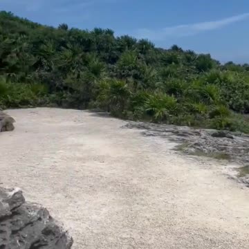 Only at USA Containers! 😎