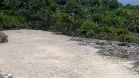 Only at USA Containers! 😎