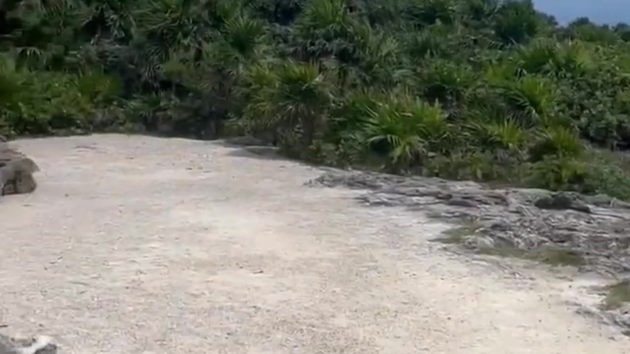 Only at USA Containers! 😎