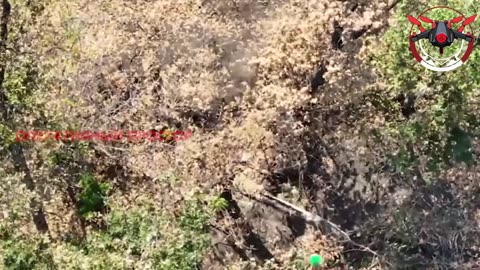 War in ukraine