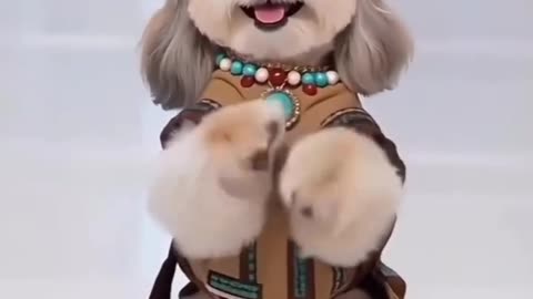 Wild dance