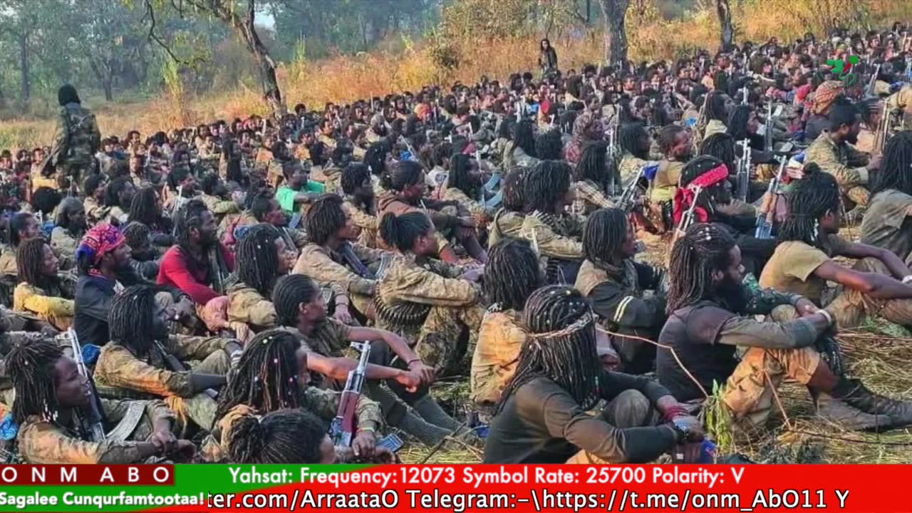 Gabaasa Tarkaanfii ONM-ABO Fulbaana 2-2025 itti dhiyaadhaa!