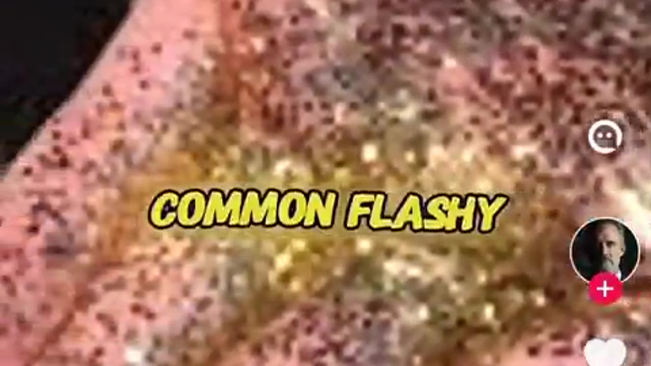 Glitter - WHAT COULD IT BE