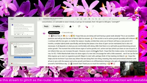 Monthly Q&A FAQ April 2025 Comments Review Orchid Related or Not Diverse Topics #ninjaorchids