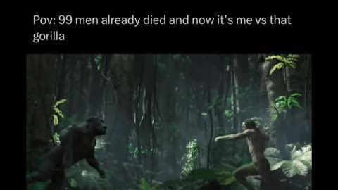 Man vs gorilla