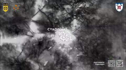 🐝💥 Ukraine Russia War | Swarm Unit Wrecks Russian Assets | RCF