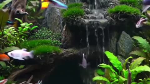 Aquascape Live: Nature’s Harmony in Glass