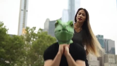 Funny Video