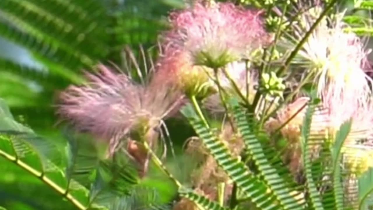 Open Yourselves to Embrace the energies of the Cosmos