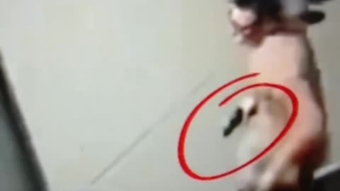 CHARLIE KIRK SHOOTER - Guy in the crowd running with gun