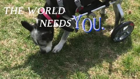 You are worthy