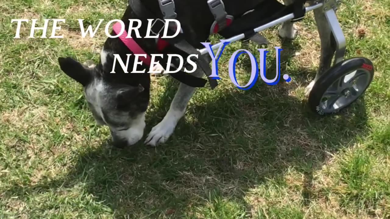 You are worthy