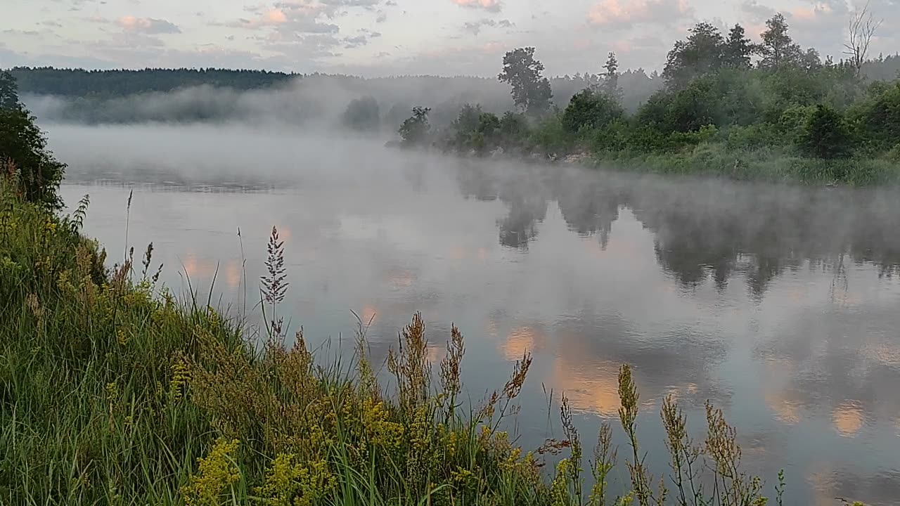 Unosił się nad powierzchnią wody rzeki Bug