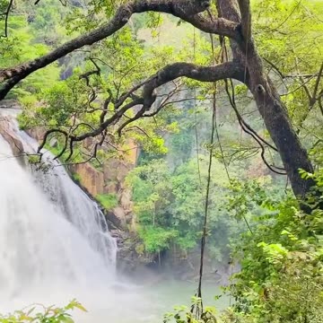 Sri Lanka Water Falls - Duwili Water Falls