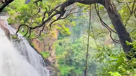 Sri Lanka Water Falls - Duwili Water Falls