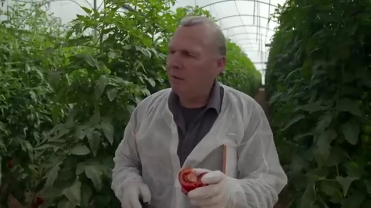 Seeds of Profit - The Loss of Nutrients