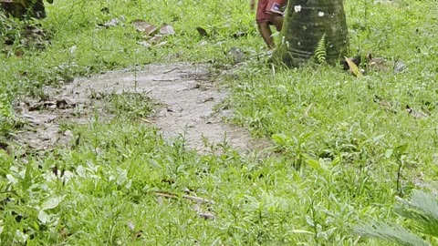 Farm Life in the Rain 🌧️ | Kids Playing in the Mud 👧🧒