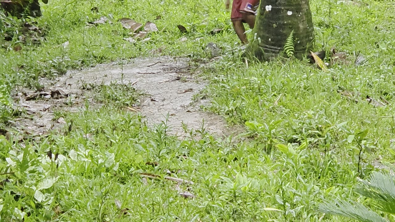 Farm Life in the Rain 🌧️ | Kids Playing in the Mud 👧🧒