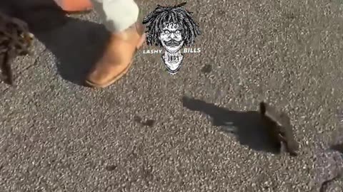 Disarmed and put on the ground