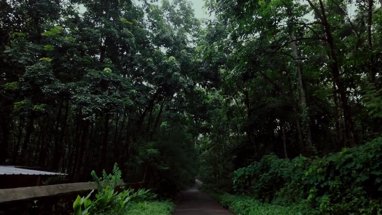 Experience Ultimate Tranquility: Immersive 4K Heavy Rain Walk in a Lush Rural Indian Village - ASMR