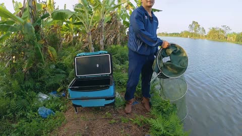 Tilapia Spin Fishing in Warm Lake Tributaries