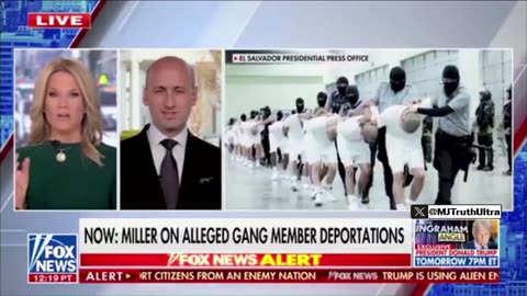 Stephen Miller Destroys Andrew Weismann