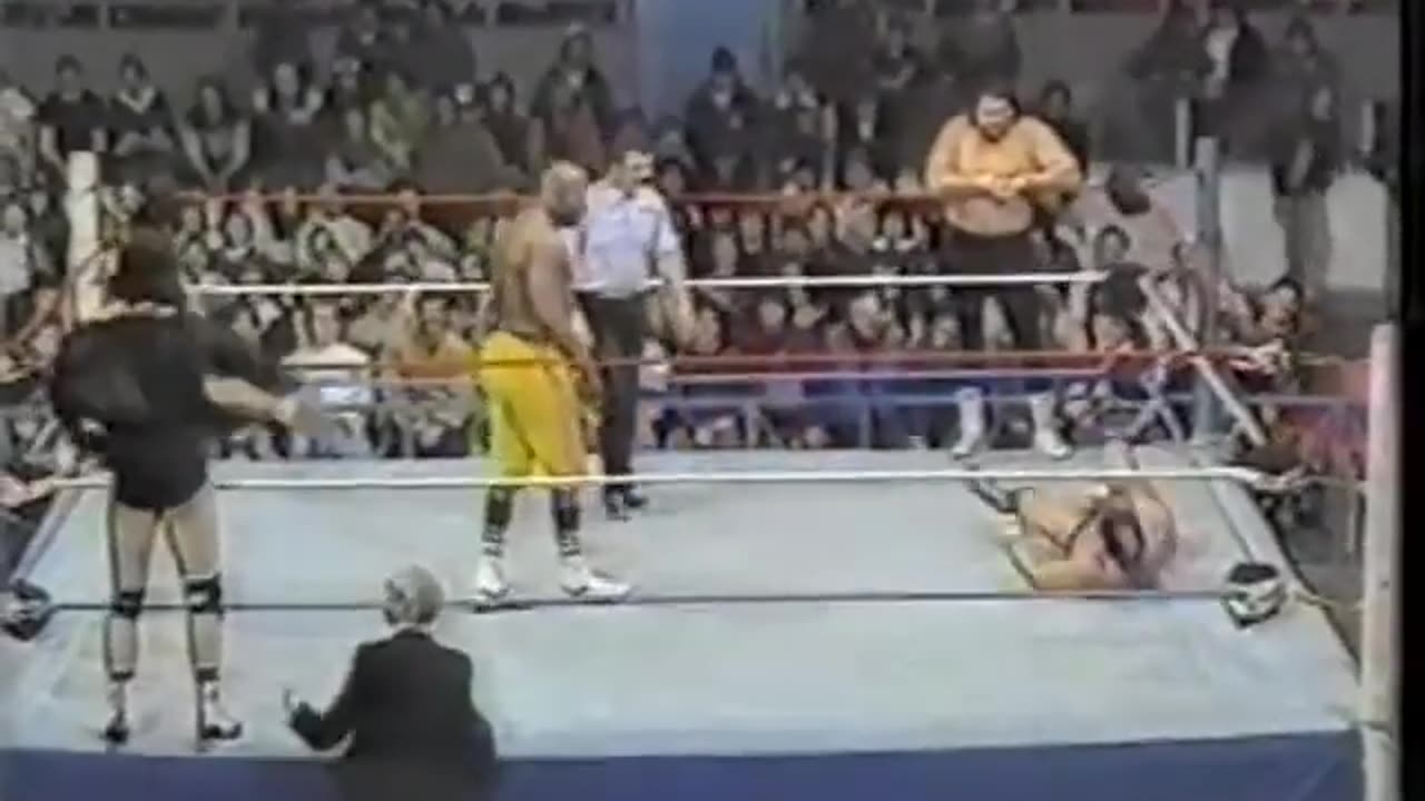 WWF All Star Wrestling Feb 16 1985