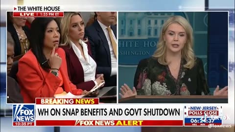 Leavitt on SNAP and dem party ..