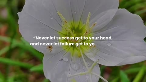 Never let success get to your head, and never let failure get to your heart.
