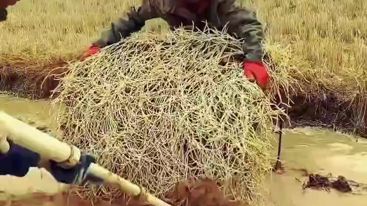 #Wow Kya Kamal Ka Dimag Hai Ine Logon #Ka 👌👌😃😃