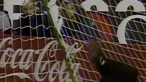 amazing goalkeeper