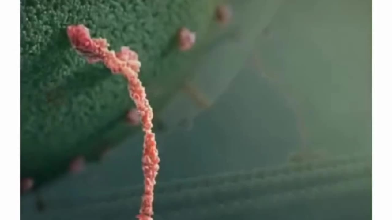 Tiny workers of Allah in human brain | Miracles of Quran #allah #islamicscholar #quranfacts
