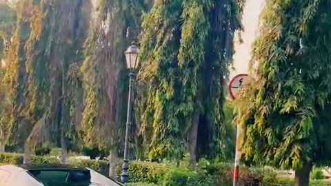 🚀💨 This V12 Lamborghini Rev Sound is PURE Symphony! | LuxurySportsCars