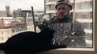 🤣🐶 He Just Wants to Play! | FunFM