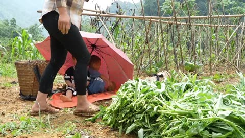 Catching Giant Fish in the Mud | Real Survival Fishing in Village Life