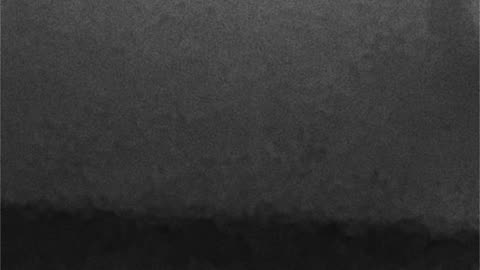 WAV - Just Feedback In Back