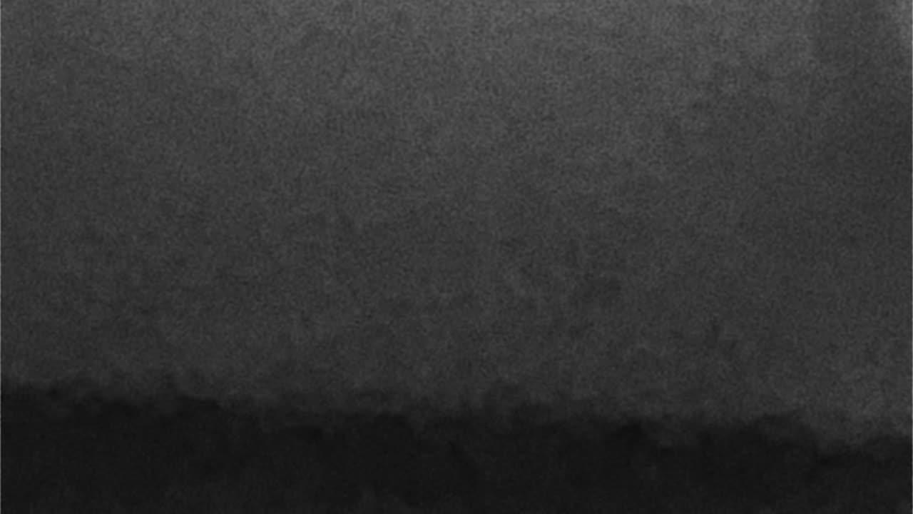 WAV - Just Feedback In Back