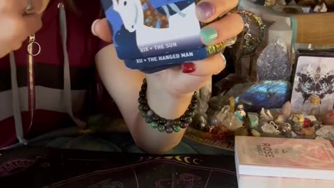 New Life MISSION And PURPOSE Is Beginning To BLOOM Into Your Life🌱🌟 | 12/12 Portal | Tarot Reading