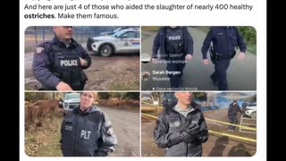 The Truth About The Ostrich Situation Is Crazier Than We Thought