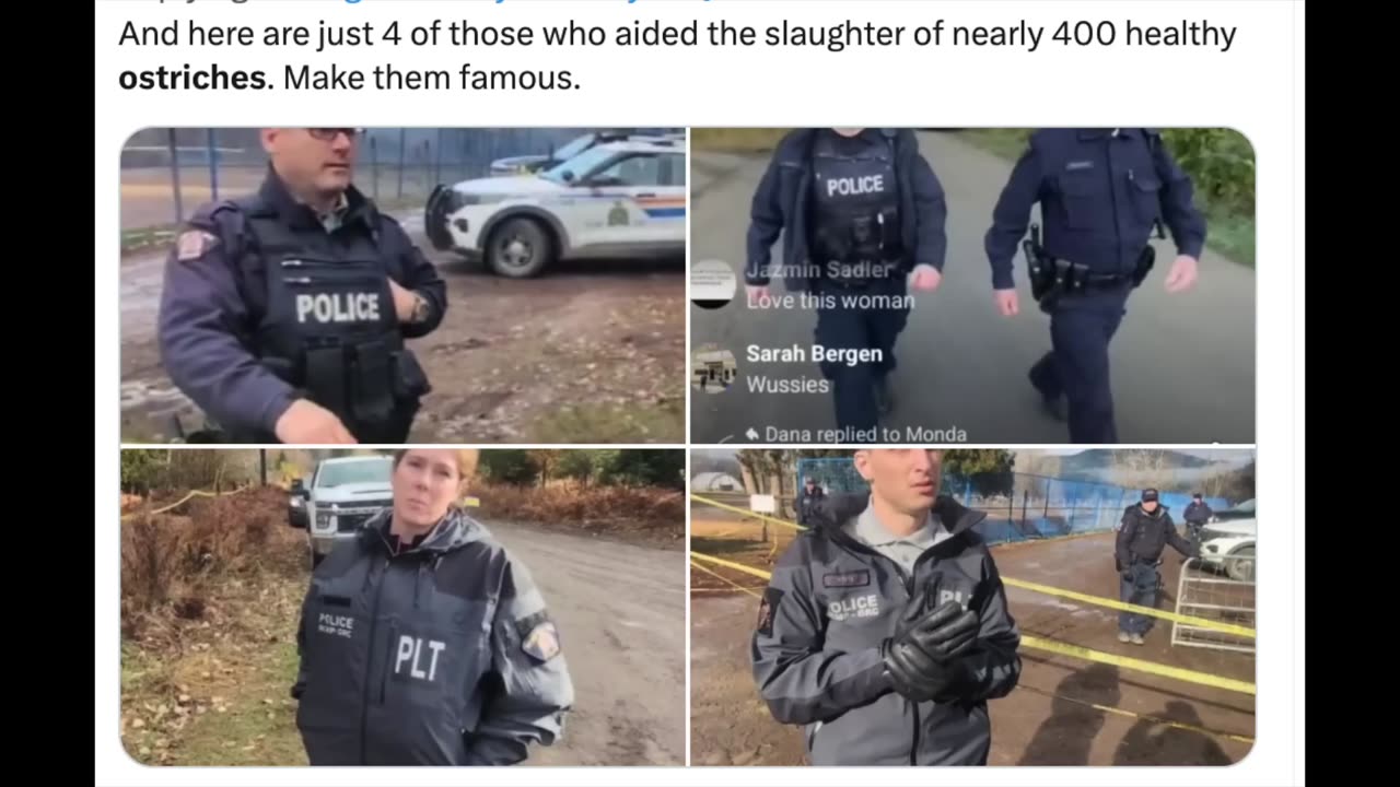 The Truth About The Ostrich Situation Is Crazier Than We Thought