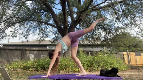 Garden of Eden - Everyday Yoga #everydamnday @AlanRoberts