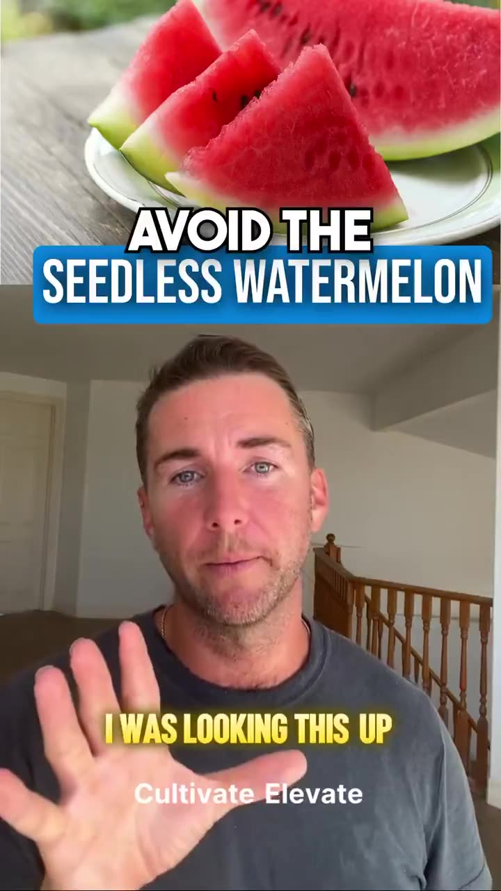 Seedless watermelons🍉 using colchicine to make the fruit sterile