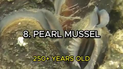 Top 5 astonishing moments that humans didn't knew