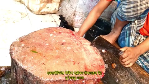 Amazing Cutting Skills Big Common Carp Fish Cleaning & Cutting By Expert Fish Cutter