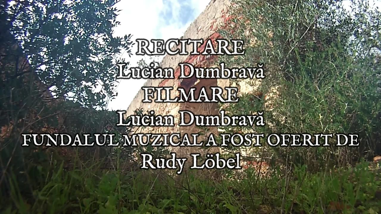 George Bacovia - Amurg (3)