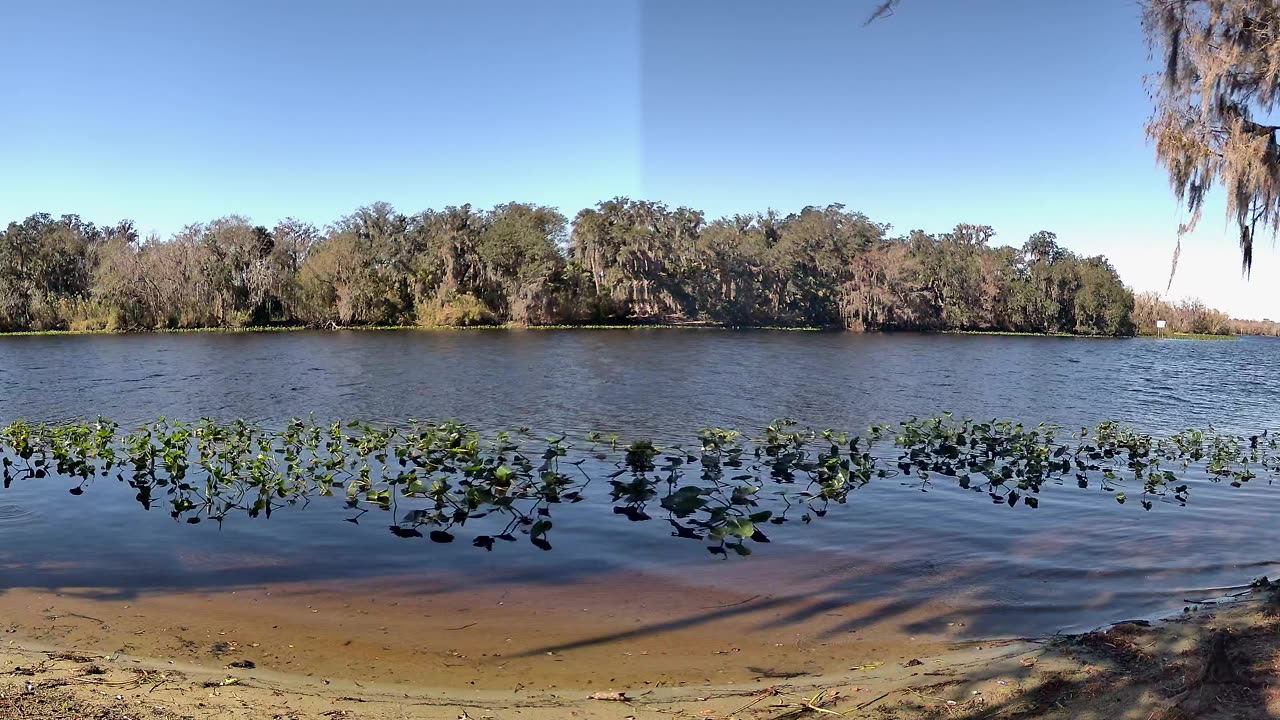 Riverview Time-Lapse: St. John’s Tranquil Tides (Jan 19, 2026)