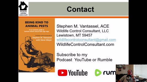 Best bait for luring cottontail rabbits into traps