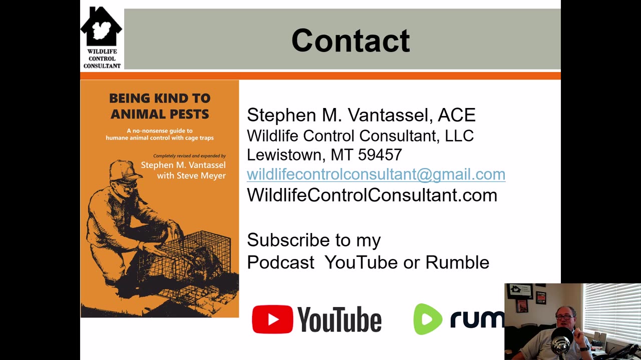 Best bait for luring cottontail rabbits into traps