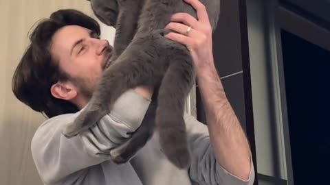 Pretending To Not See The Cat